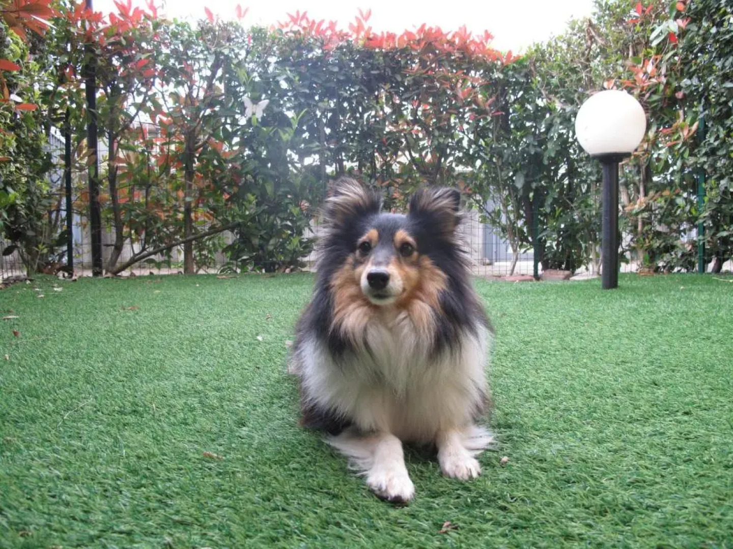 In vacanza da Miki 01