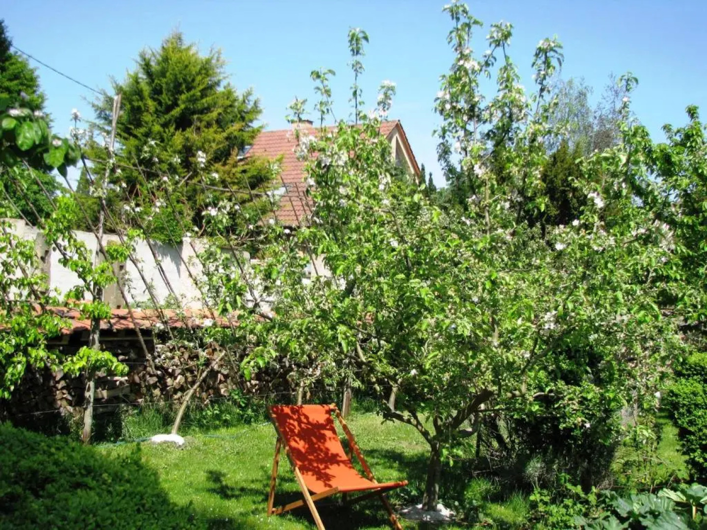 Le temps des cigognes