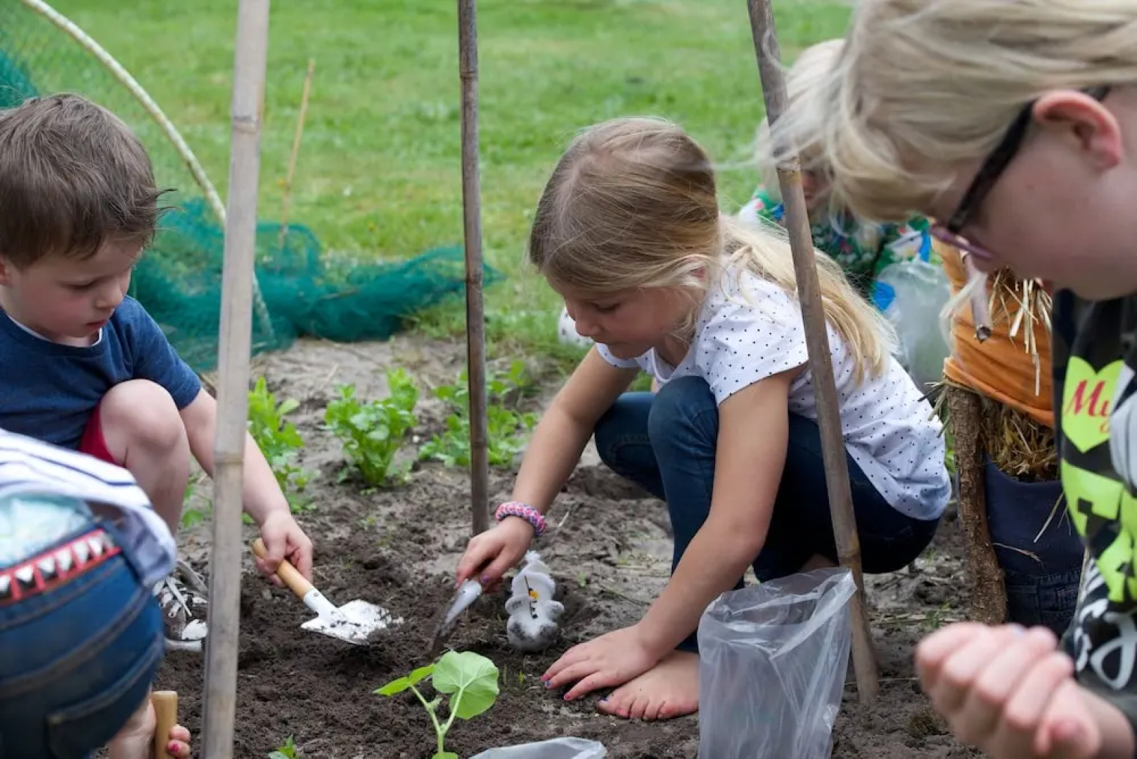 Vakantiepark De Pier