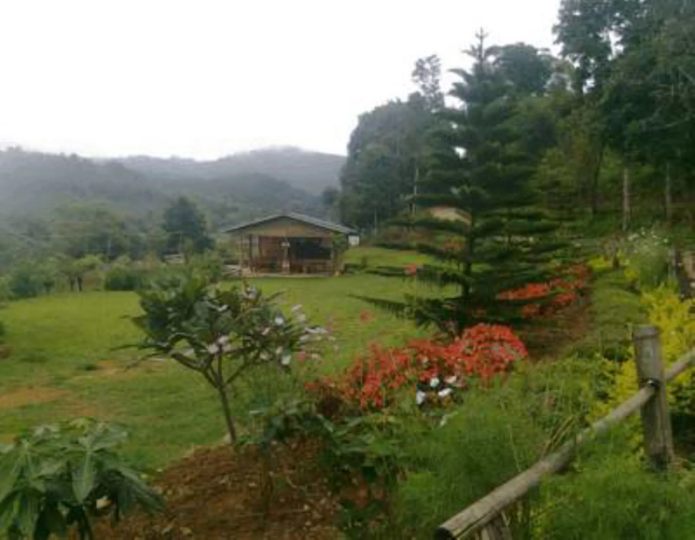 Mong Homestay Resort