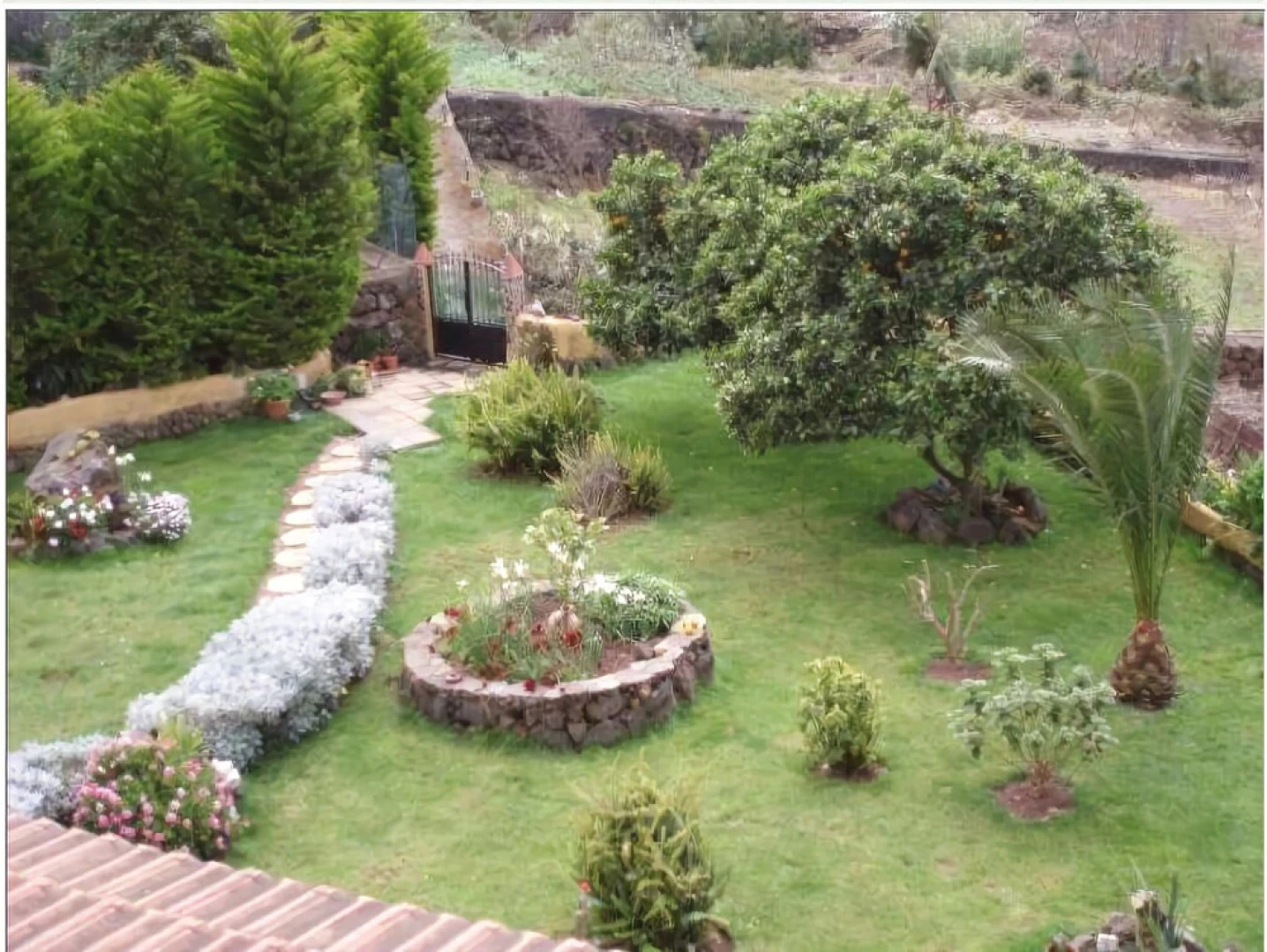 House in La Oratava Tenerife 101356 by MO Rentals