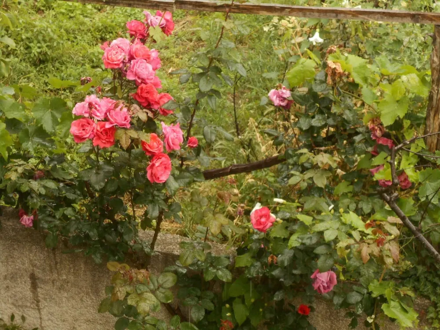 Split-level house in East Pelion