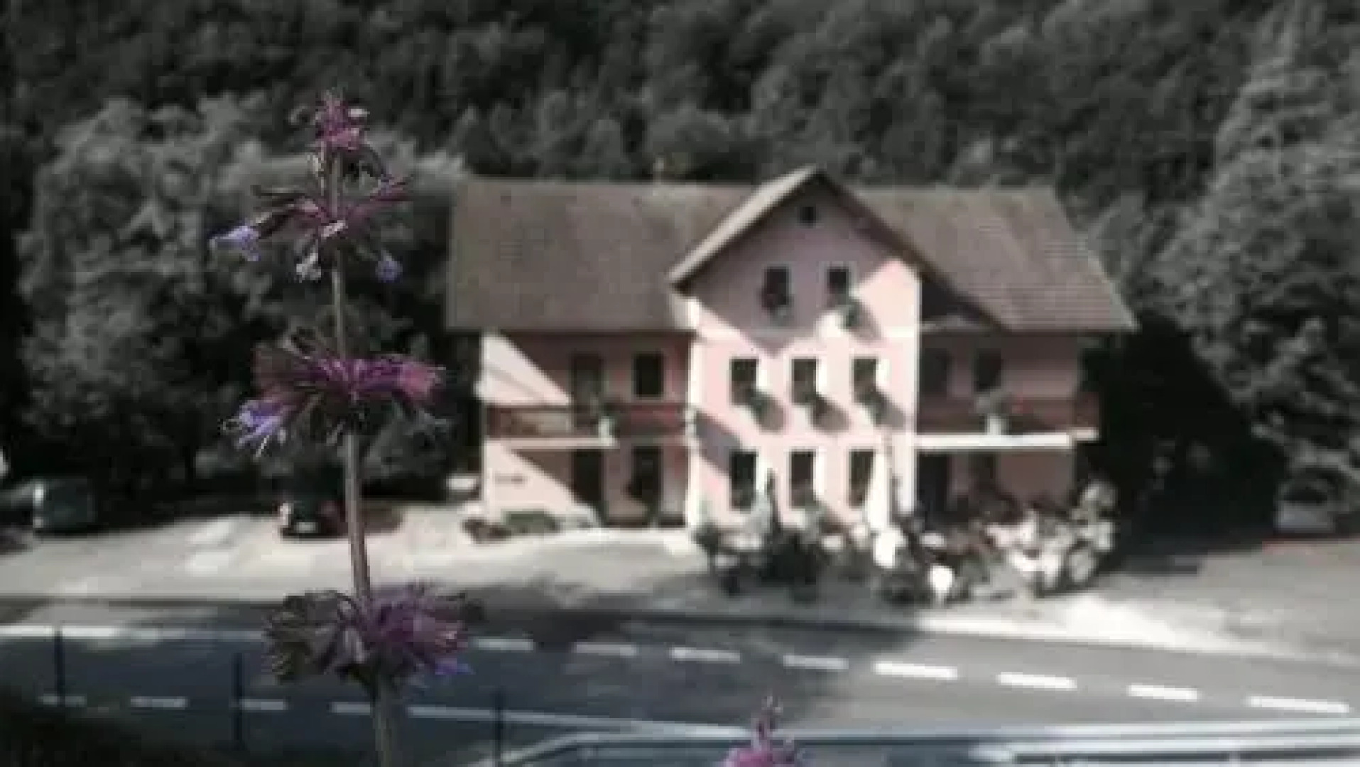 Okrepčevalnica Kurn'k