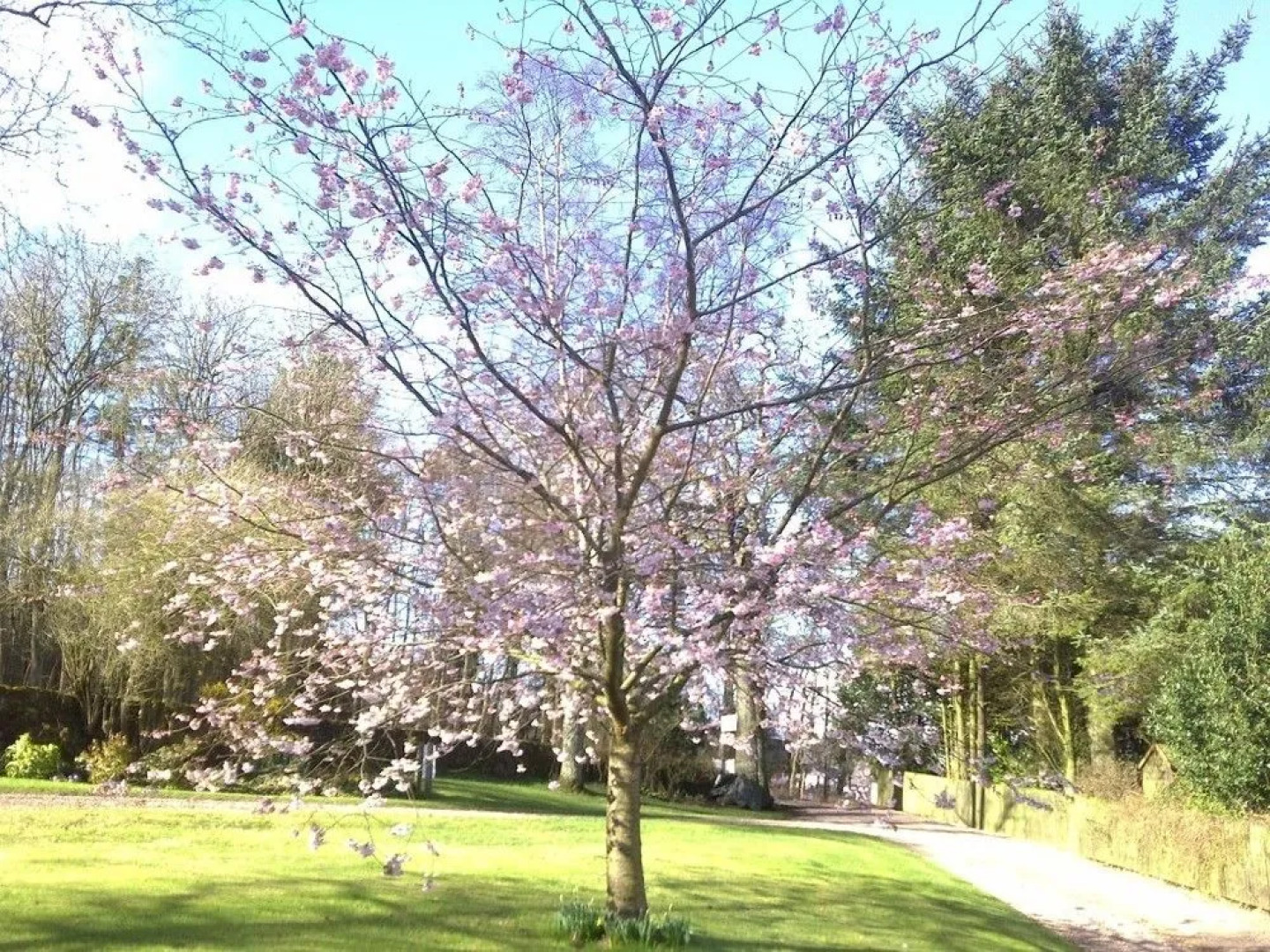 Wester Dura Farmhouse