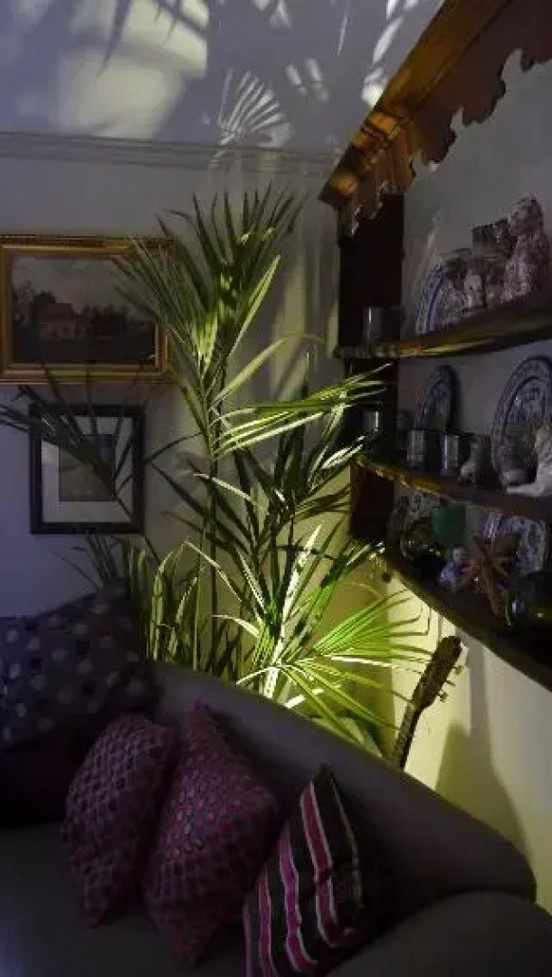 Downton Lodge Country Bed and Breakfast, and Self Catering