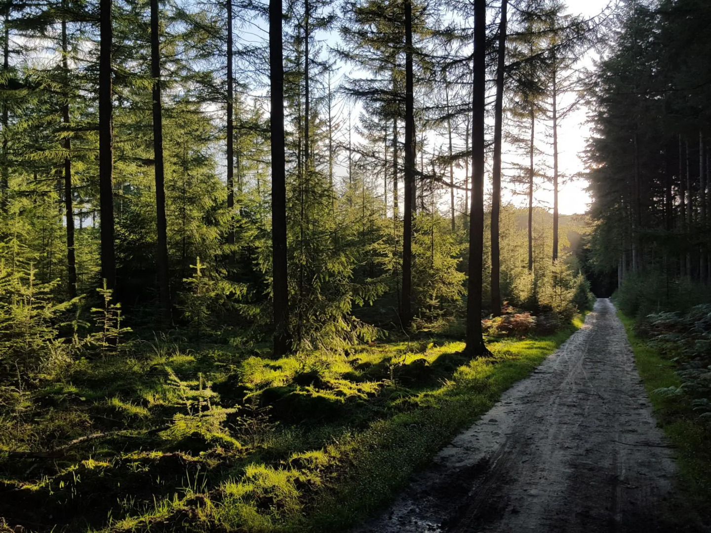 Chalet in Netherlands With Private Sauna