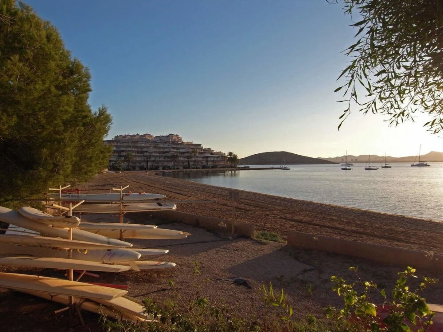 Inmovecos Optimist 2