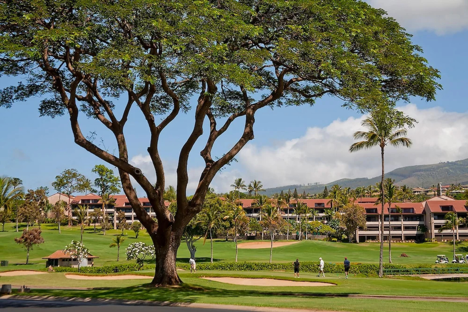 Whaler at Kaanapali Beach 370