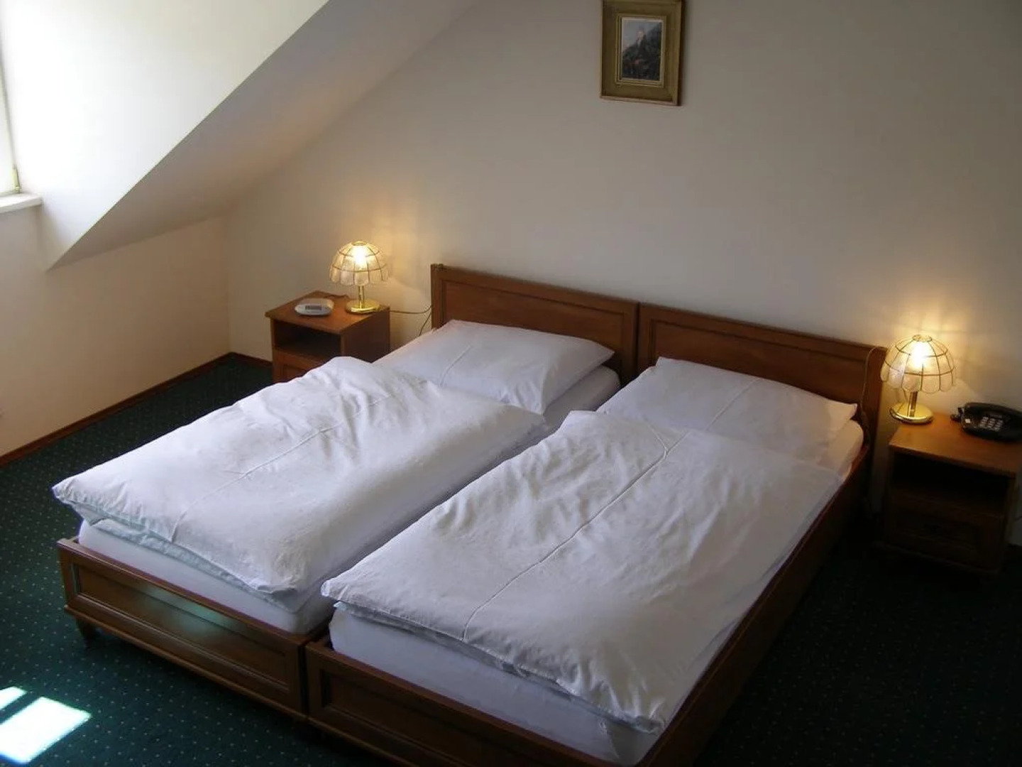 Zámecký hotel Metternich