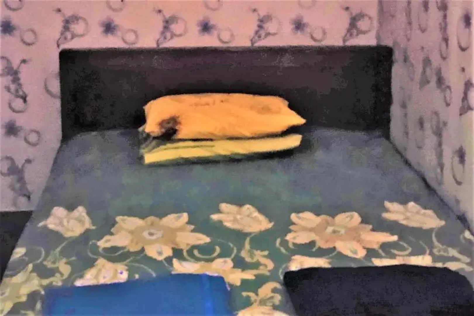 Griya Ndelik by ZUZU