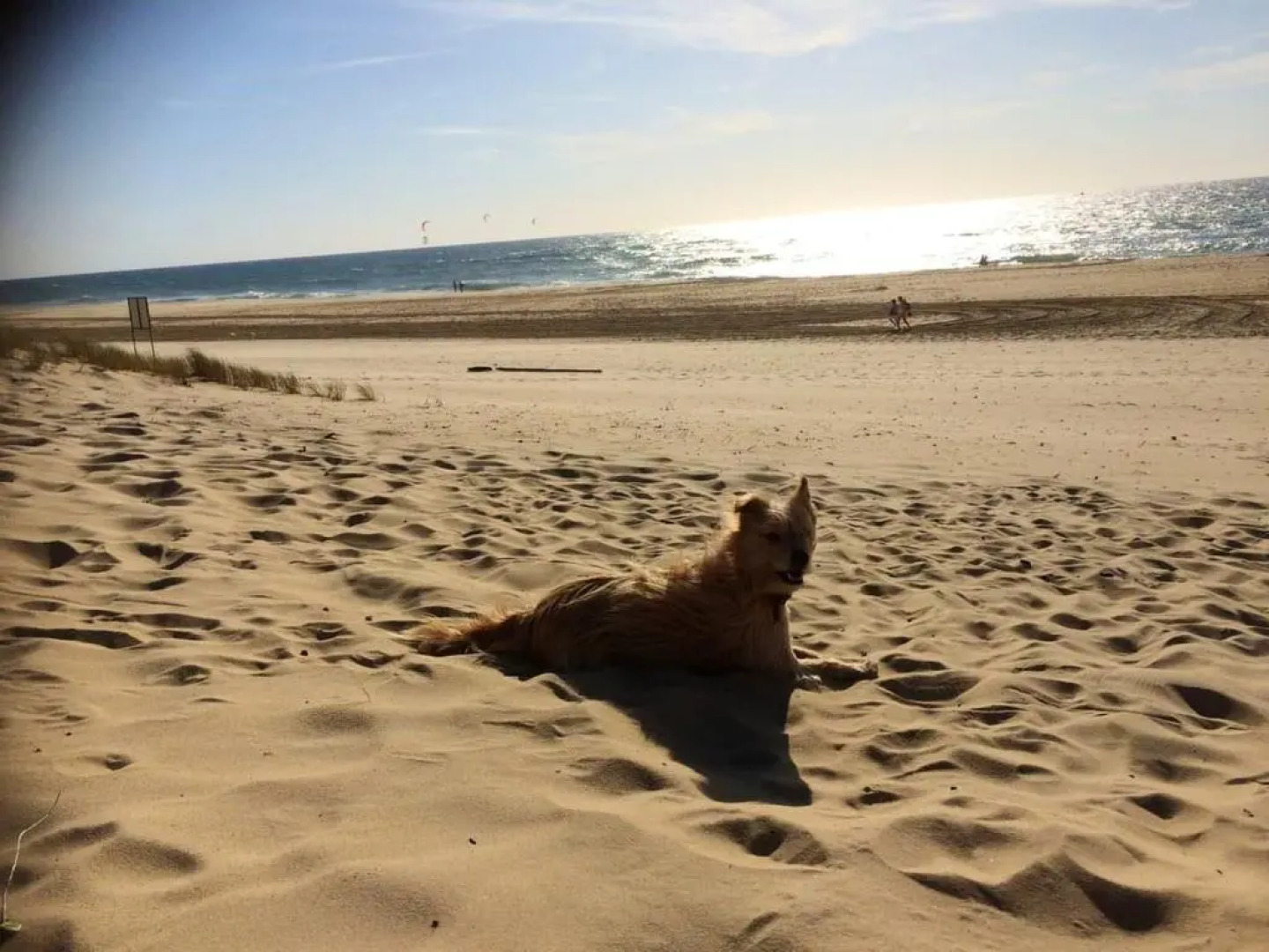 Bungalow de 3 chambres avec piscine partagee sauna et jardin a Saint Julien en Born C