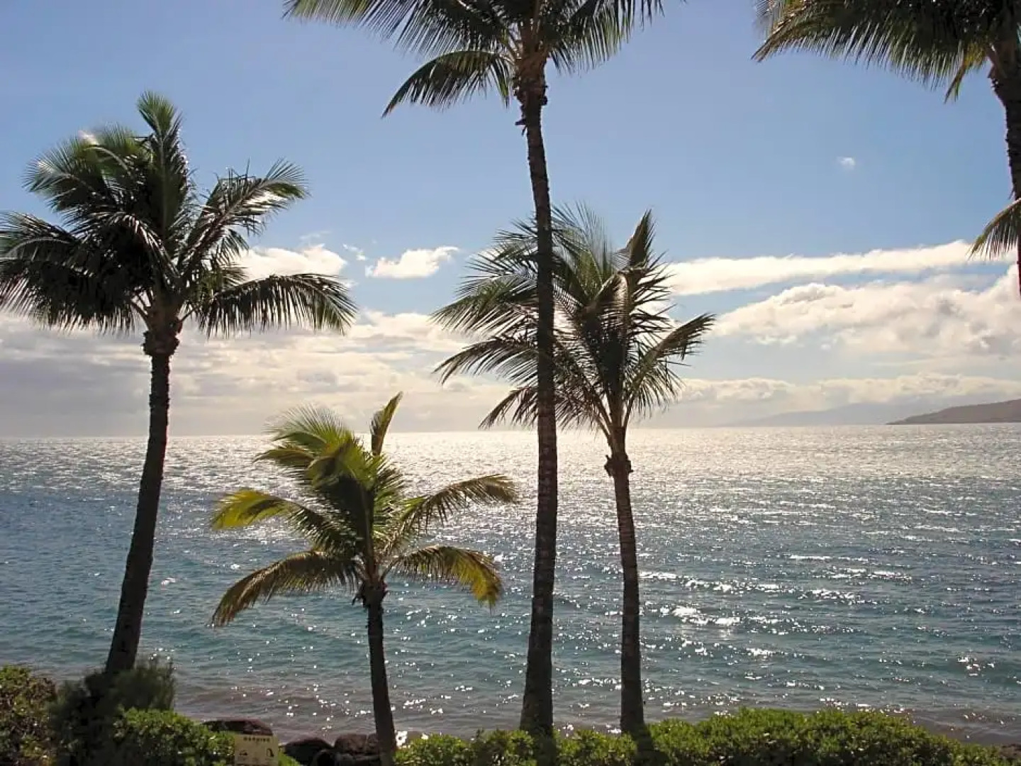 Islander on the Beach Unit 244