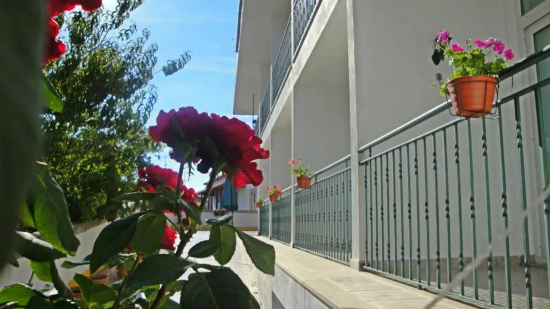 Solar dos Marcos Rural Accommodation