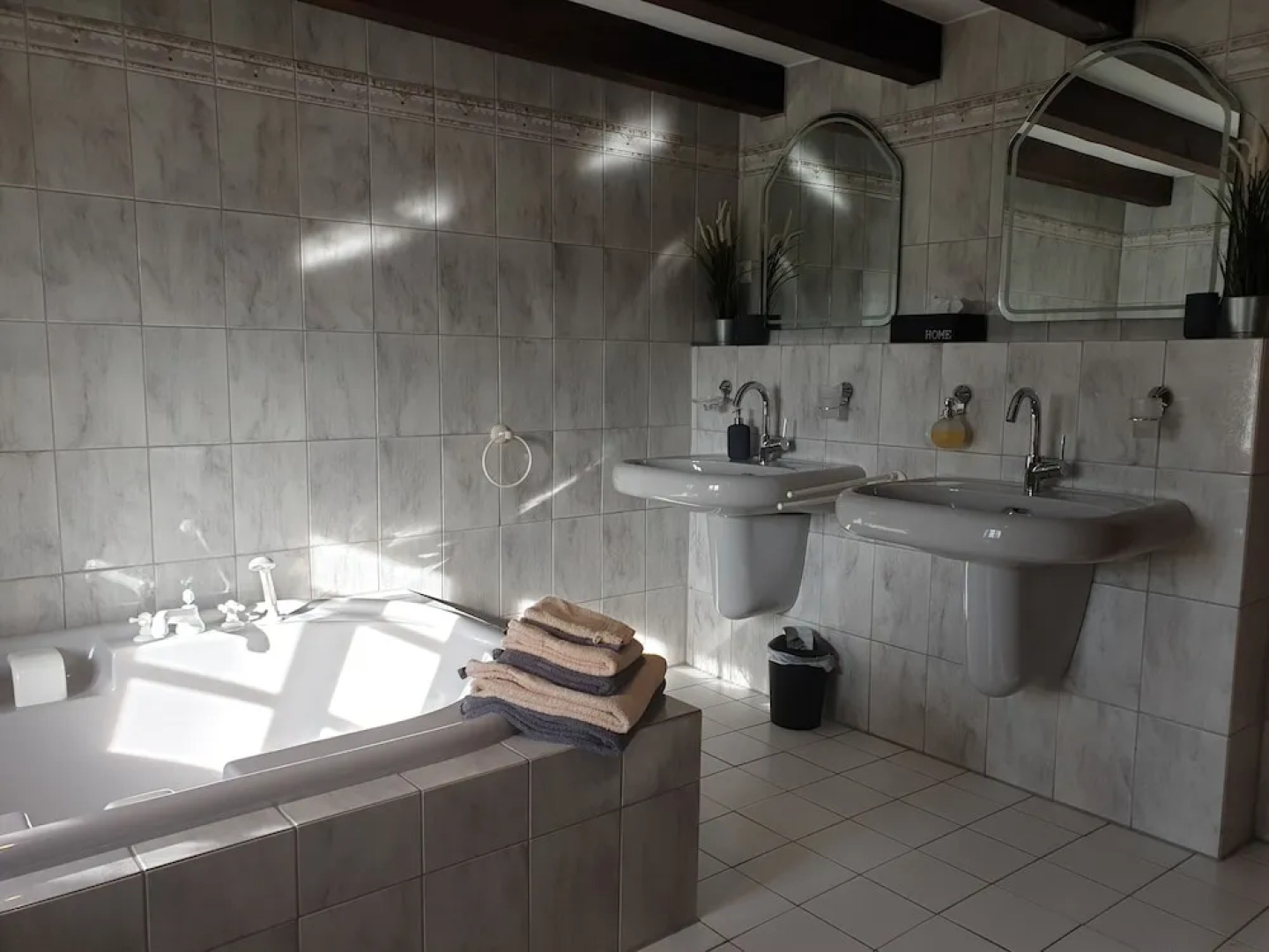 La Alqueria de las Alpacas - Alpakas am Ardey