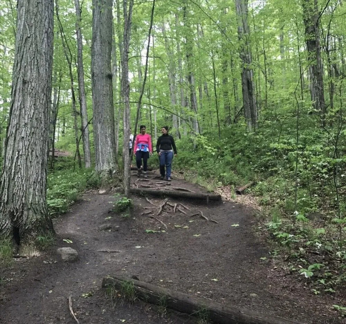 Forks of the Credit Inn