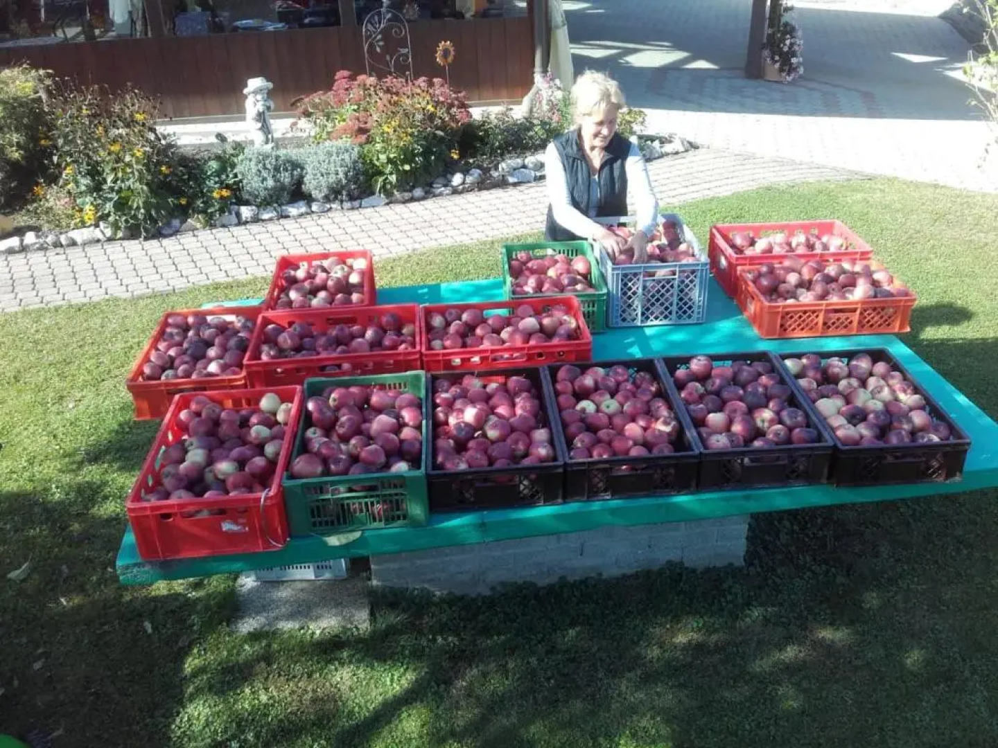 Ferienwohnungen Oranhof