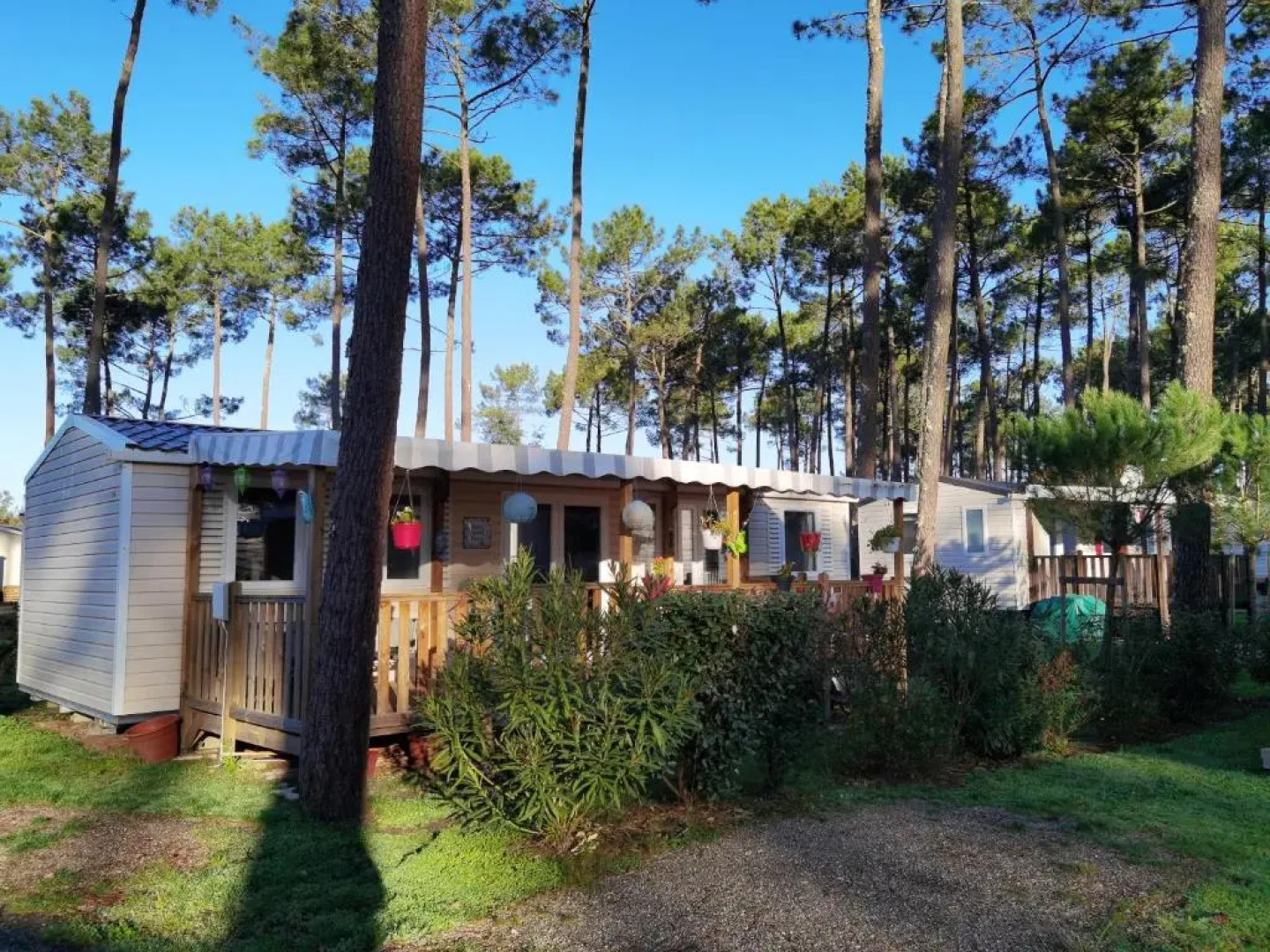 Bungalow de 3 chambres avec piscine partagee jardin amenage et wifi a Saint Julien en Born