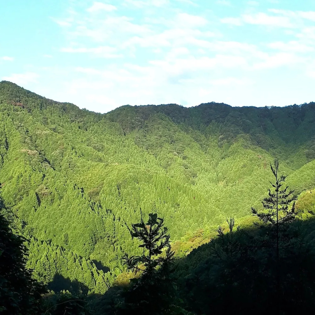 Yui Valley