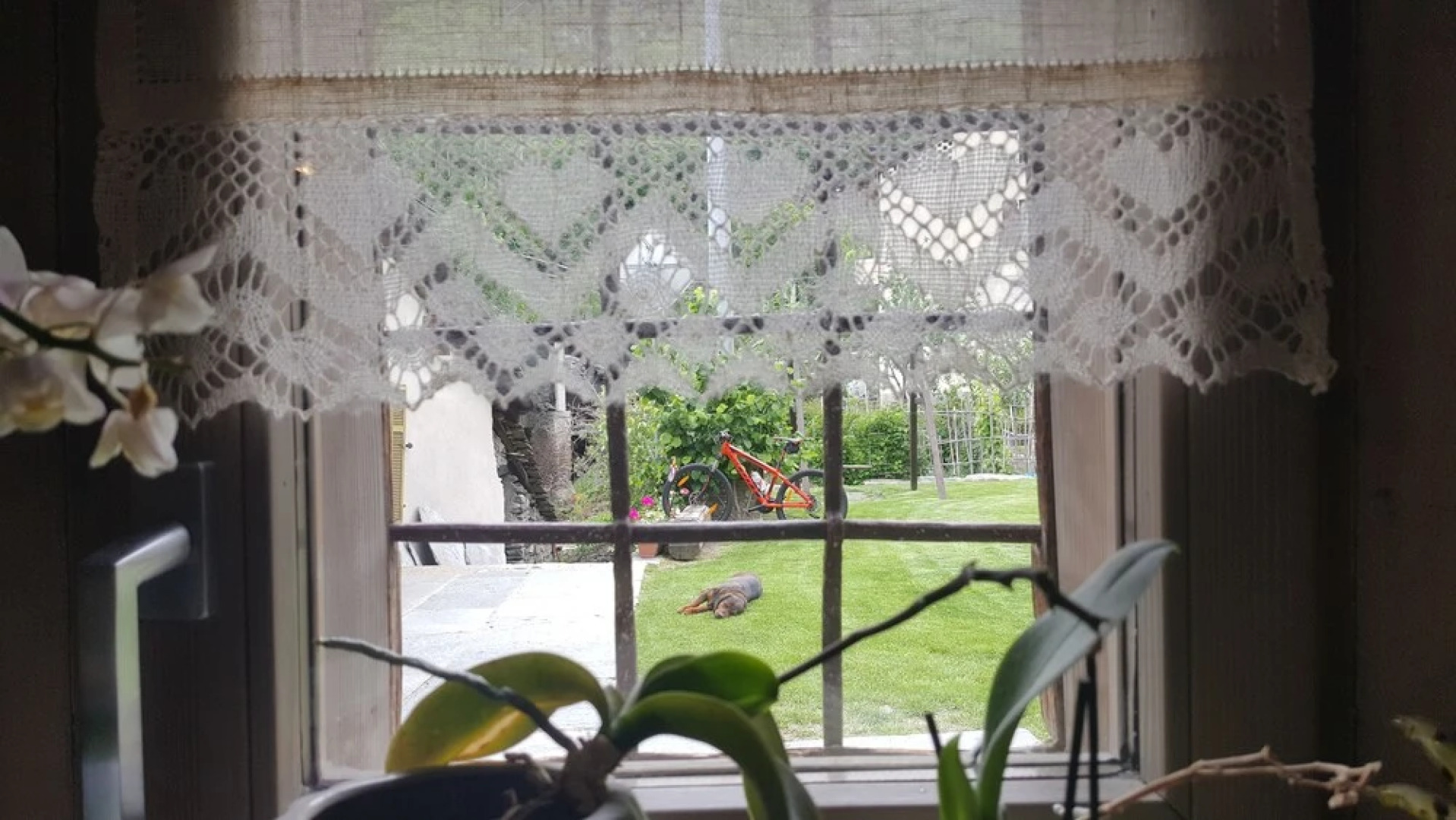 B&B L'Angolino di Bonny