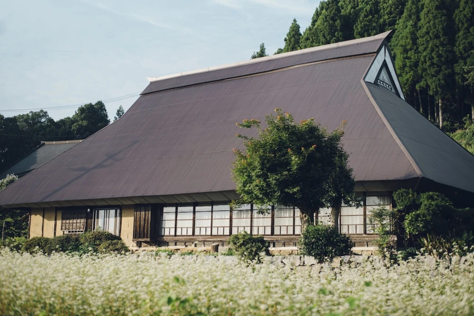 Setouchi Cominca Stays Hiroshima CHOJAYA