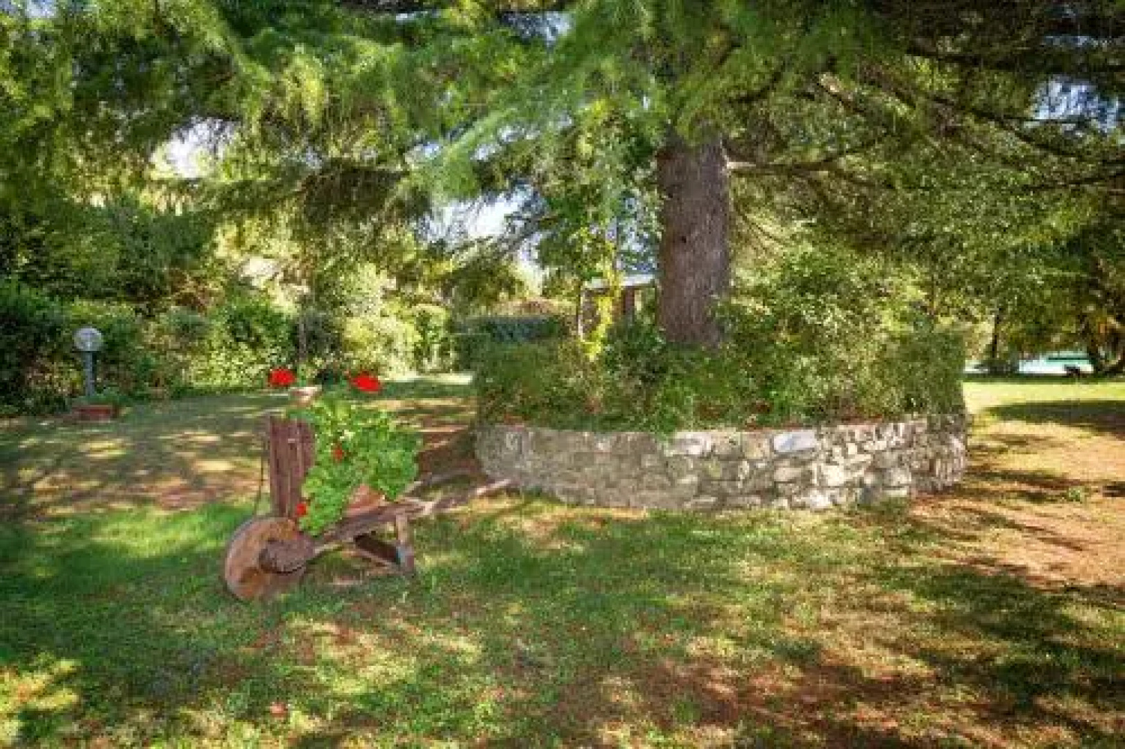 Ginestraio in Sant'Albino