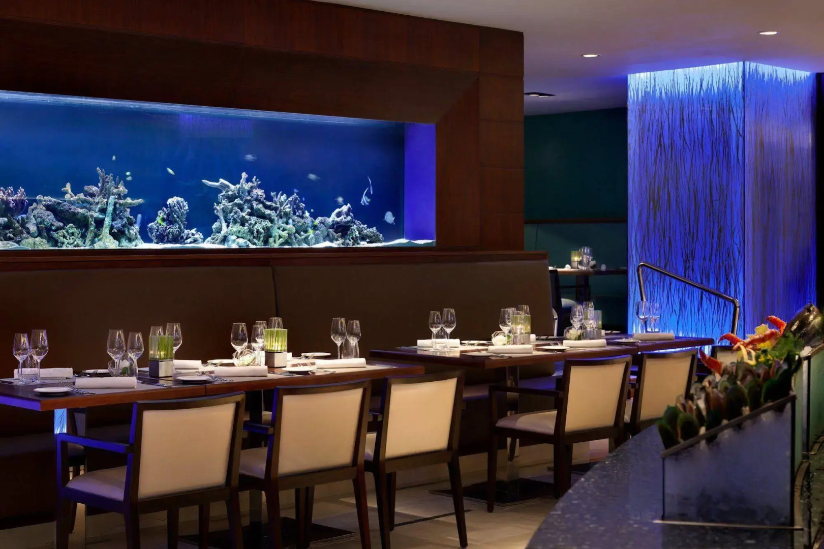 Shangri-La Apartments