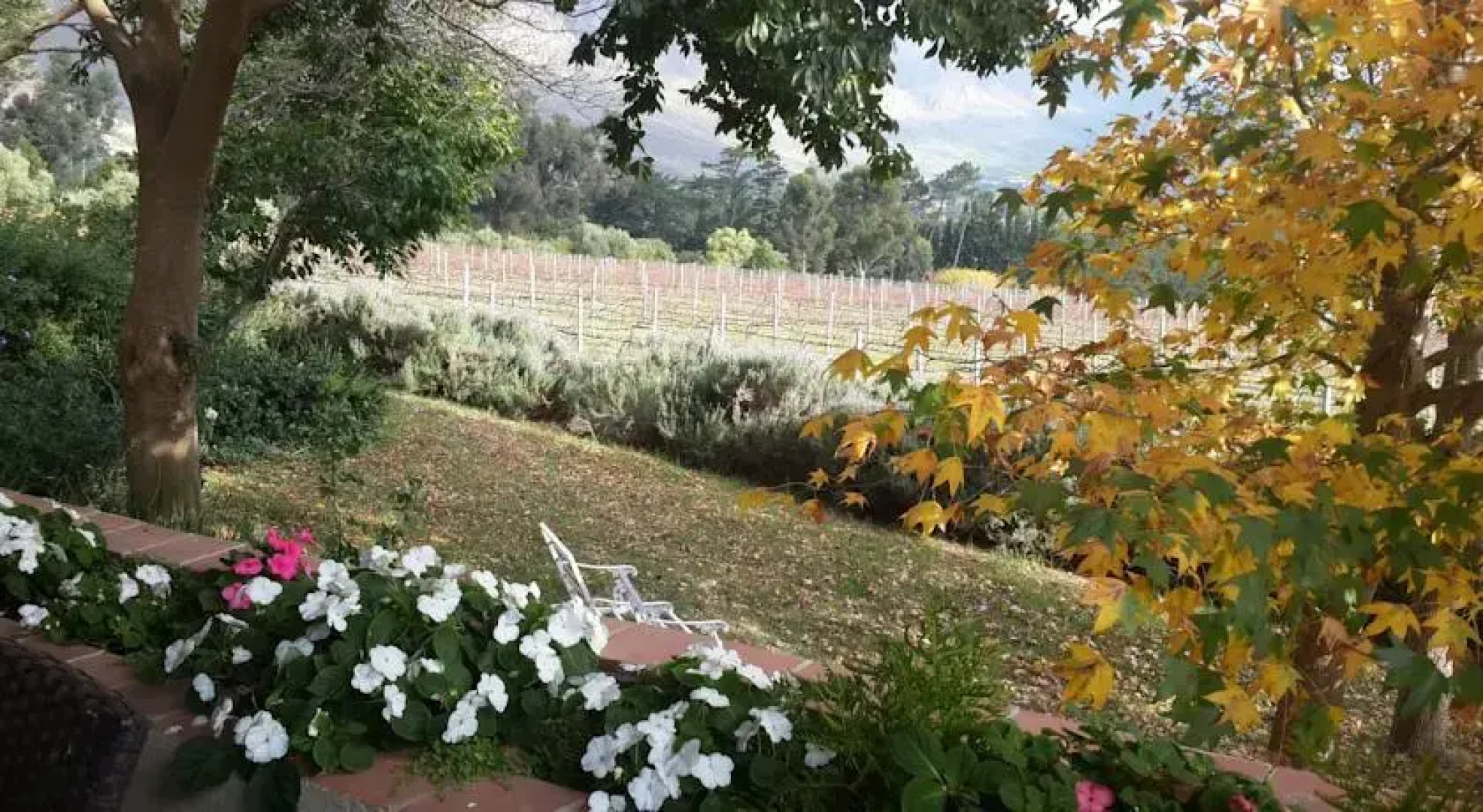 Blueberry Hill Cottages