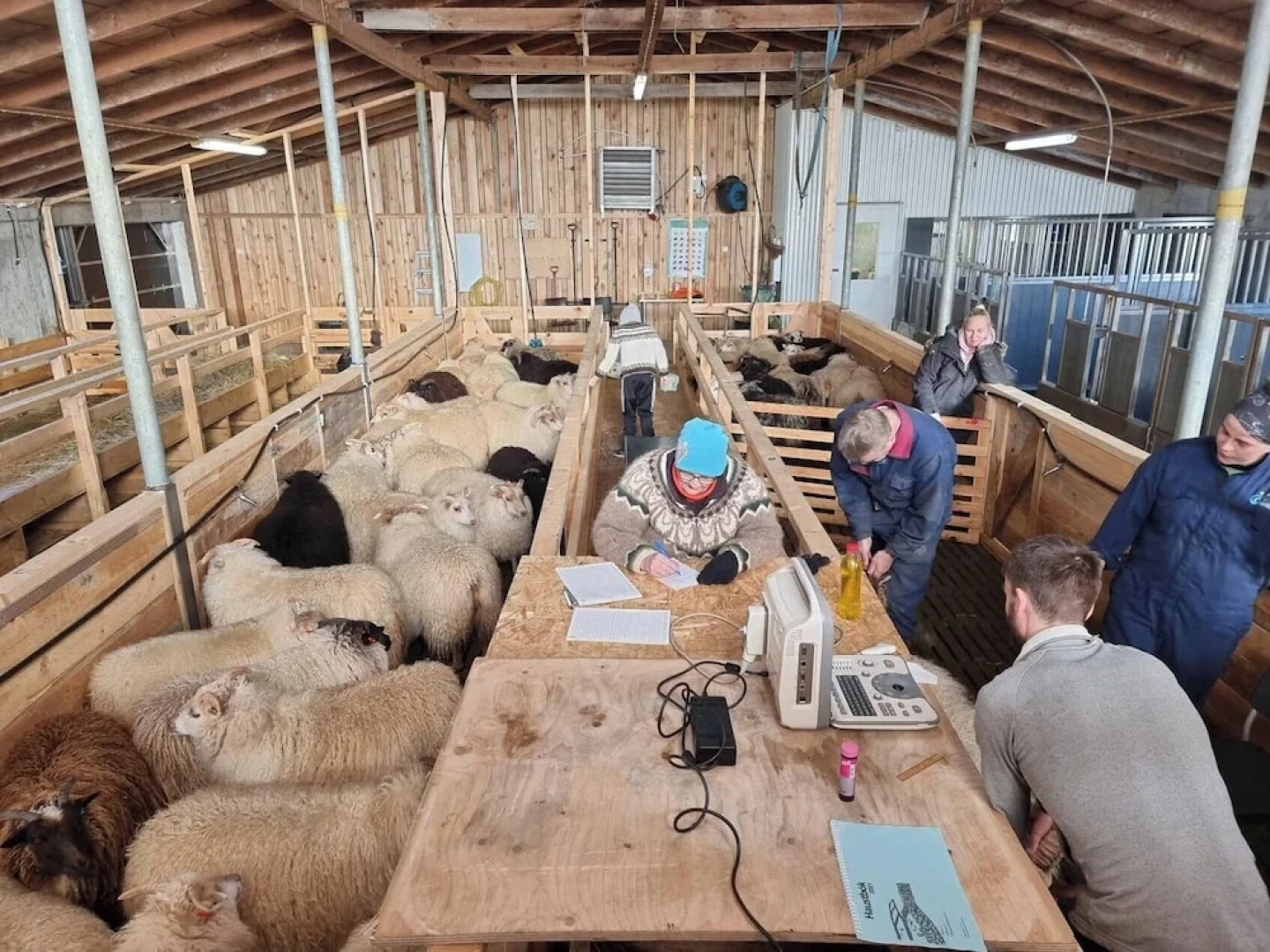 Miðhraun - Lava Resort