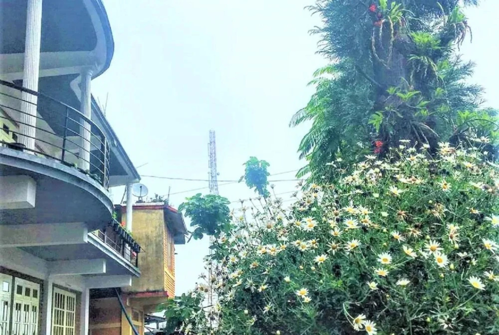 Goroomgo The East Gate Kohima