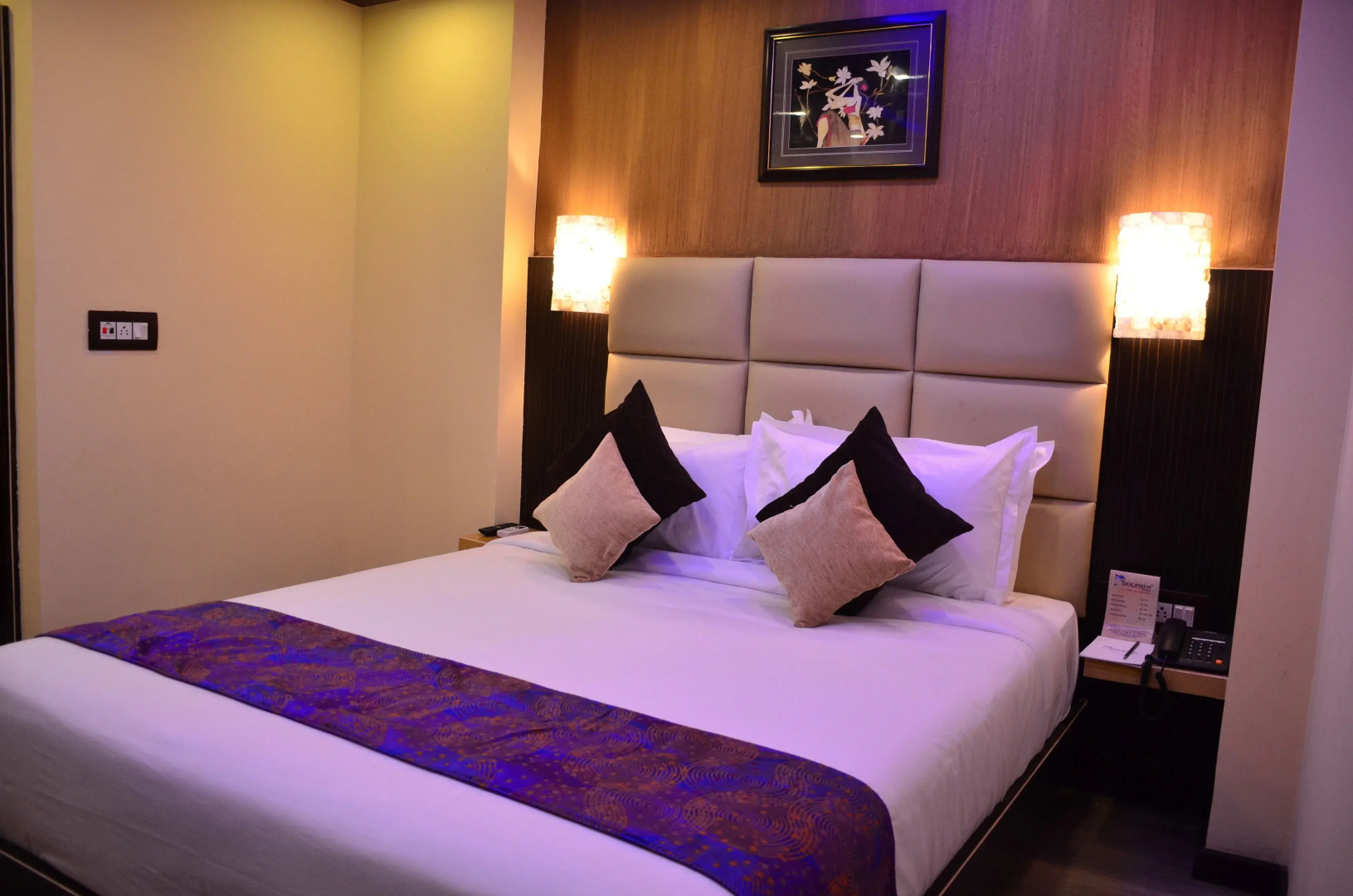 Dolphin Chocolate Inn