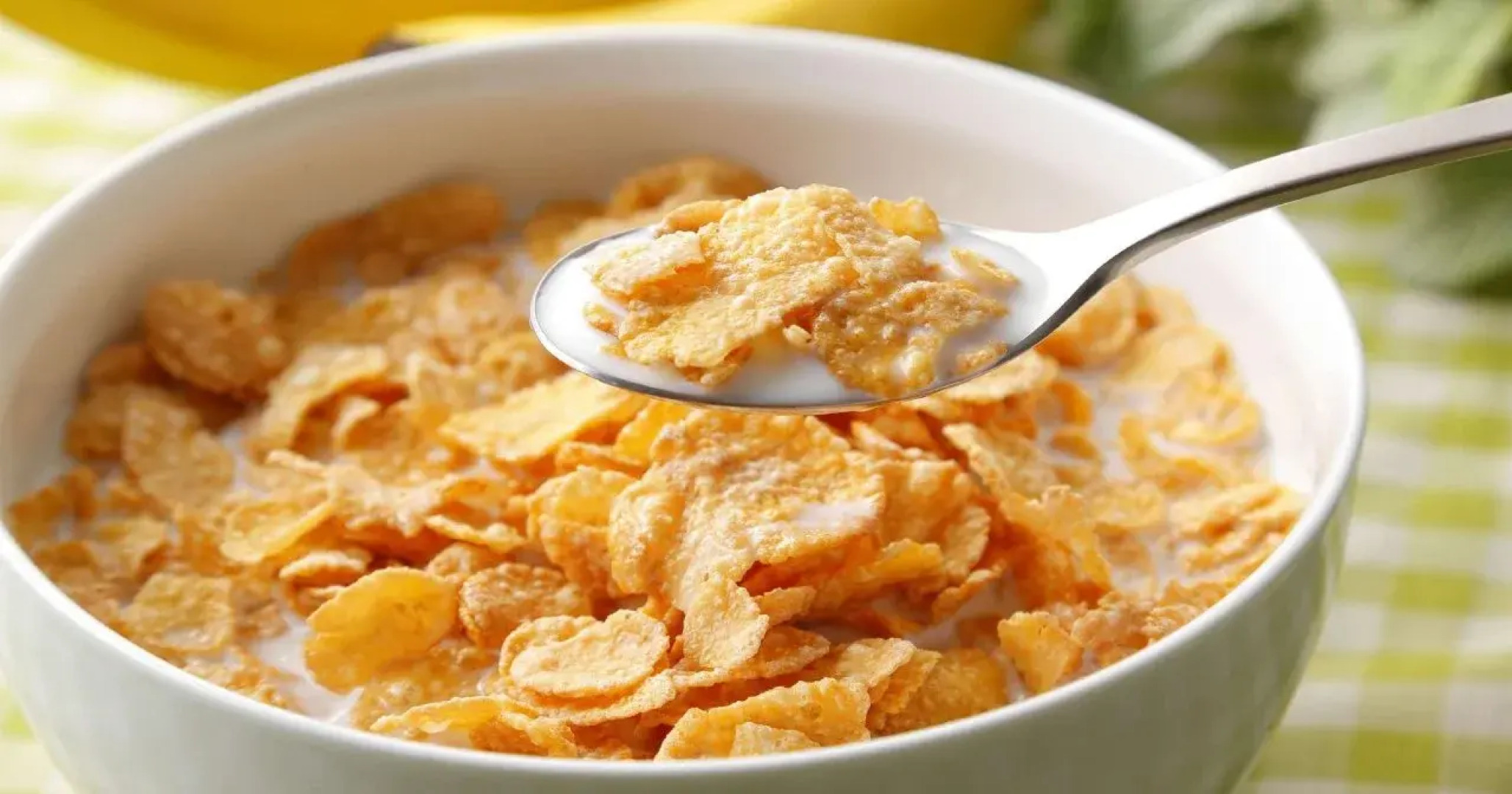 Magnuson Hotel Williamston