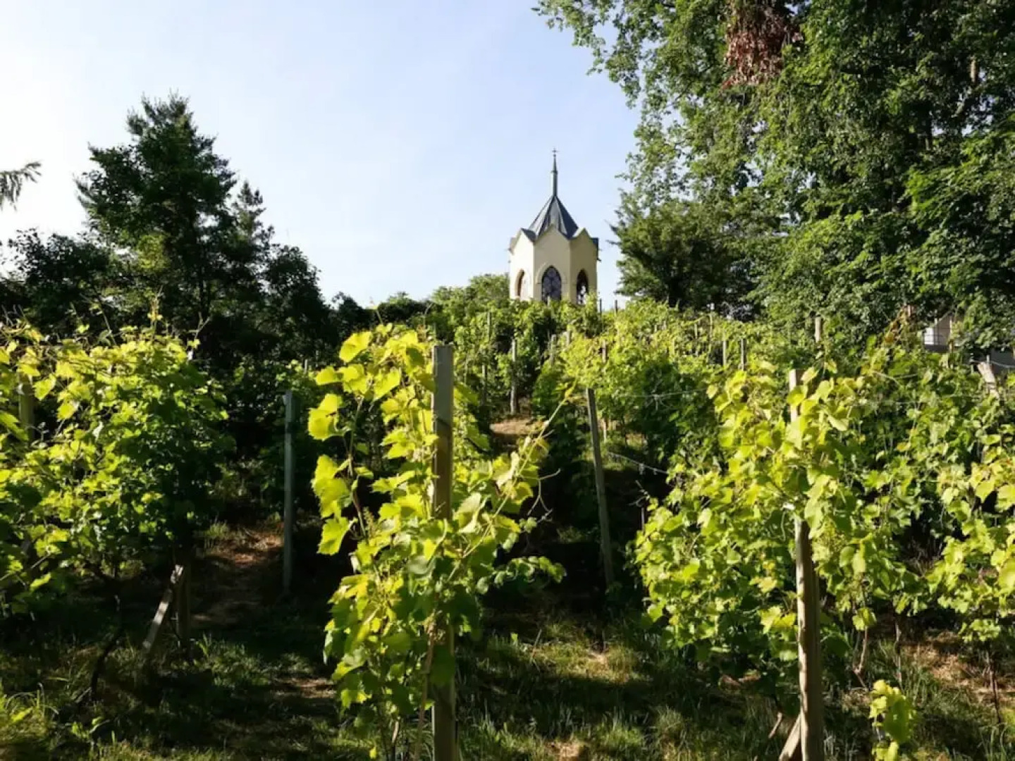 Holiday Apartment Remise - Ground Floor