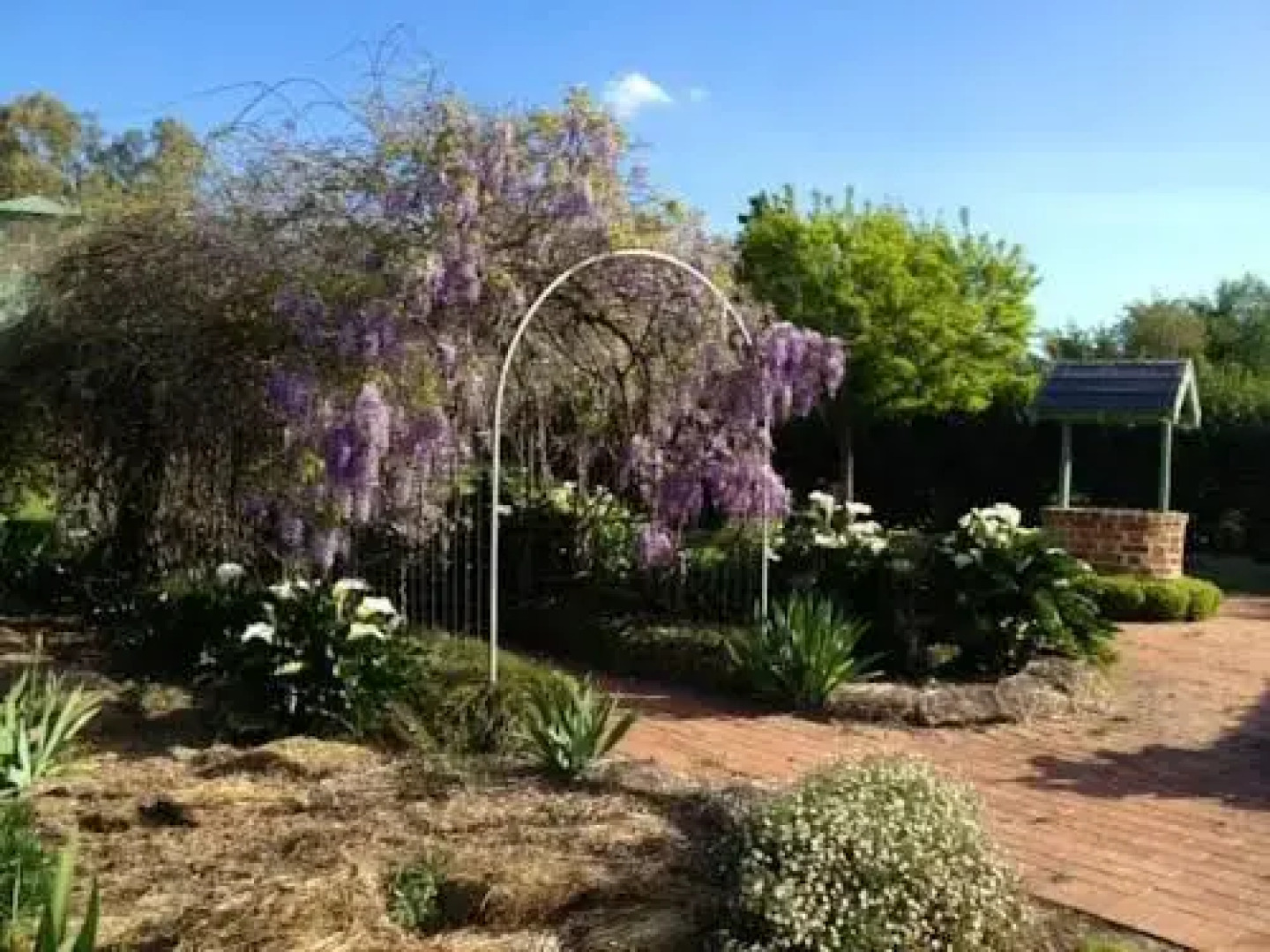 Riverglen Cottage B&B