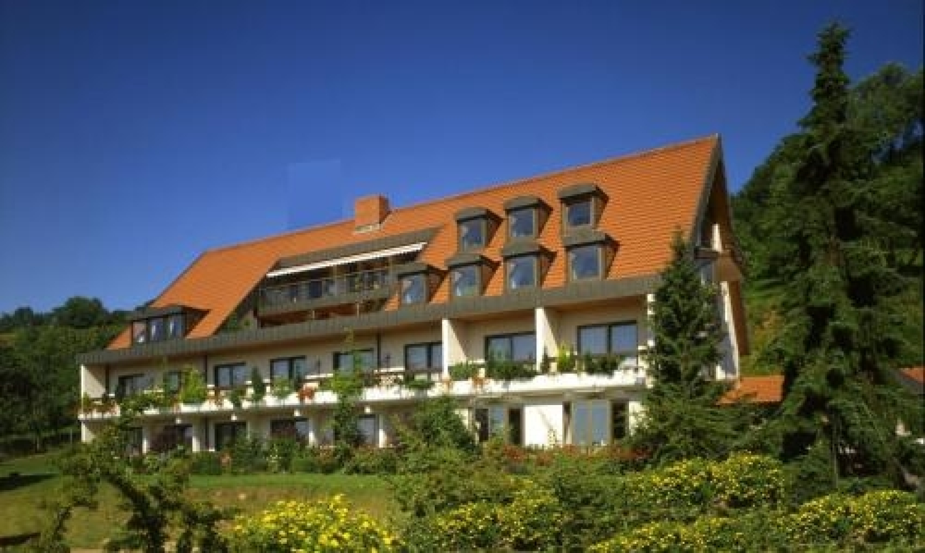 Käfernberg Hotel - Restaurant