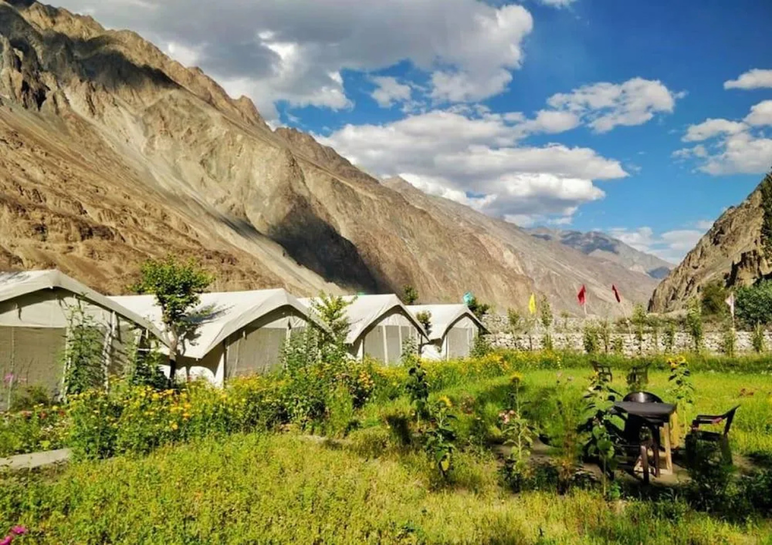 TIH Buckwheat Root Camp - Turtuk