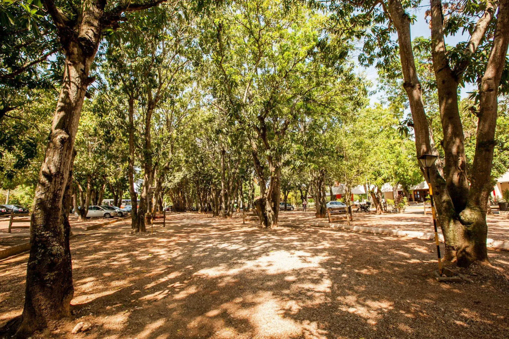 Hotel Fazenda Mato Grosso
