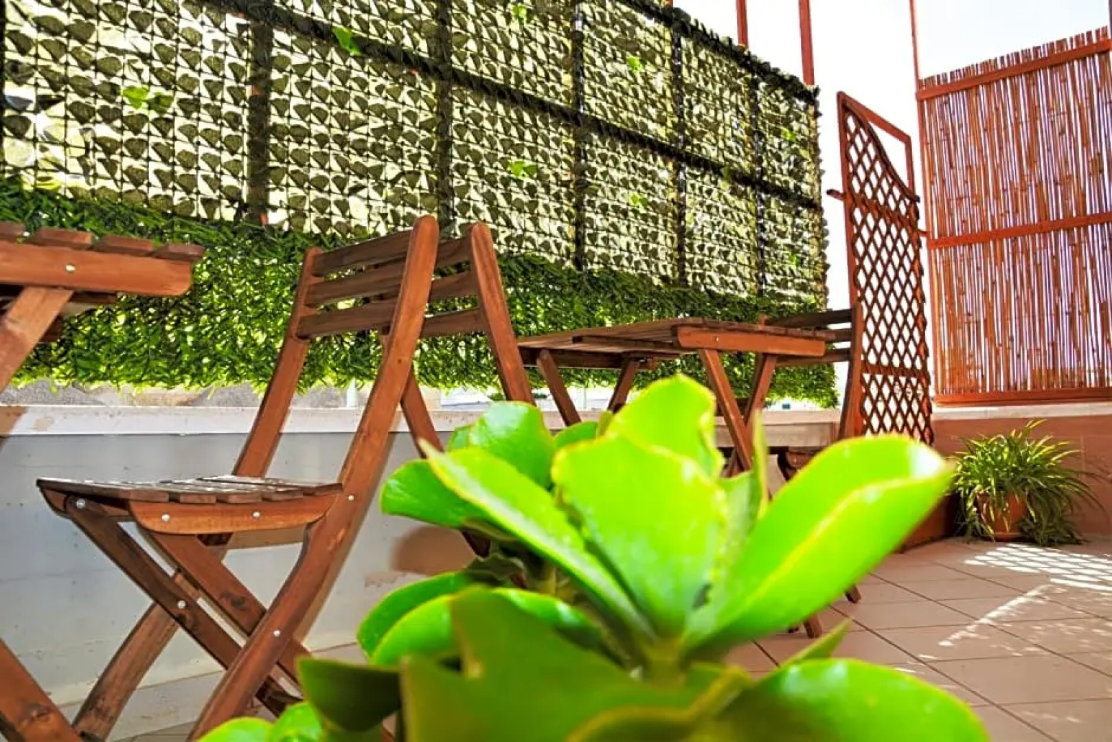 Salenterra B&B (Salento)