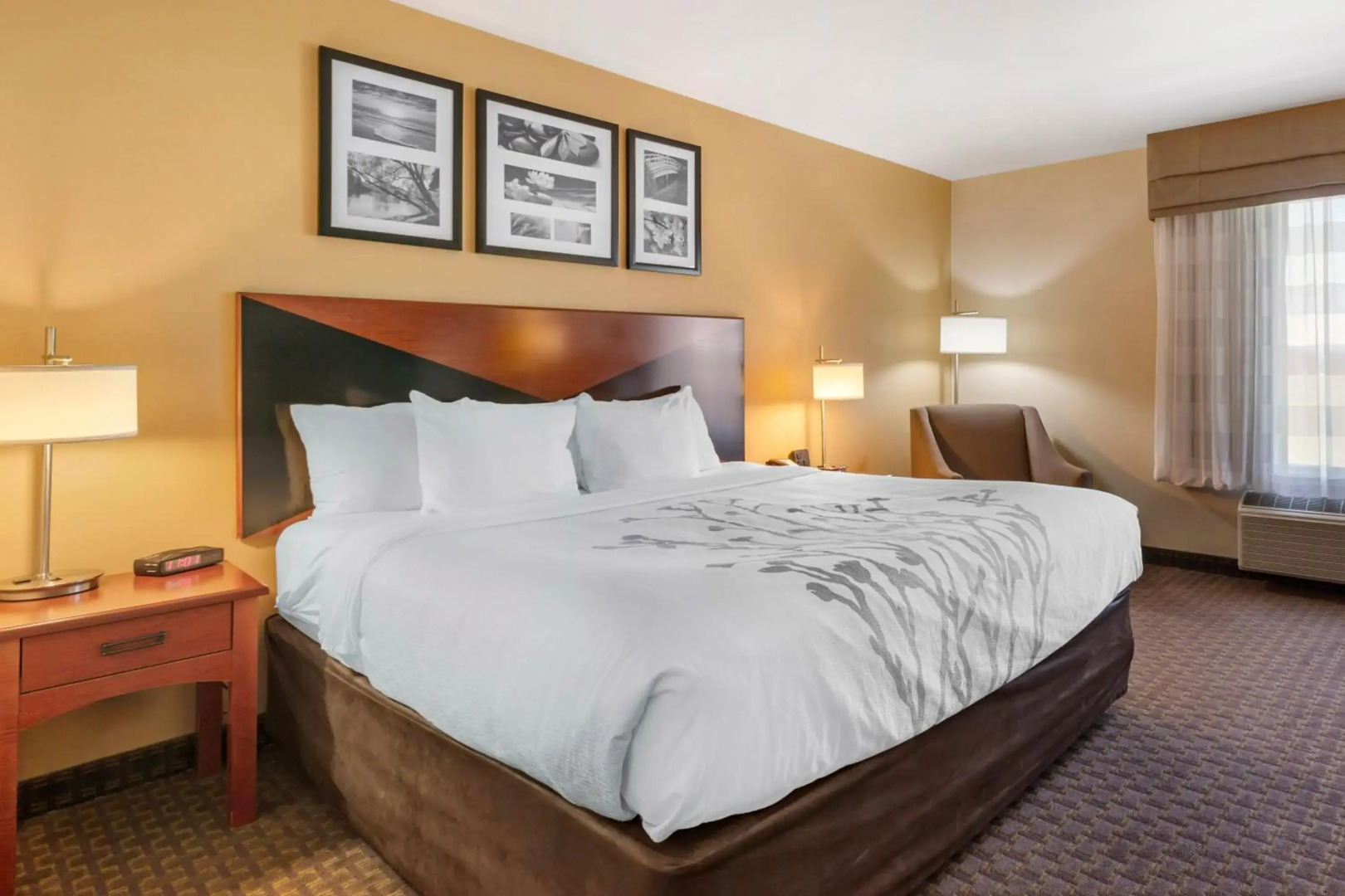 Garner Hotel Idaho Falls Southwest by IHG