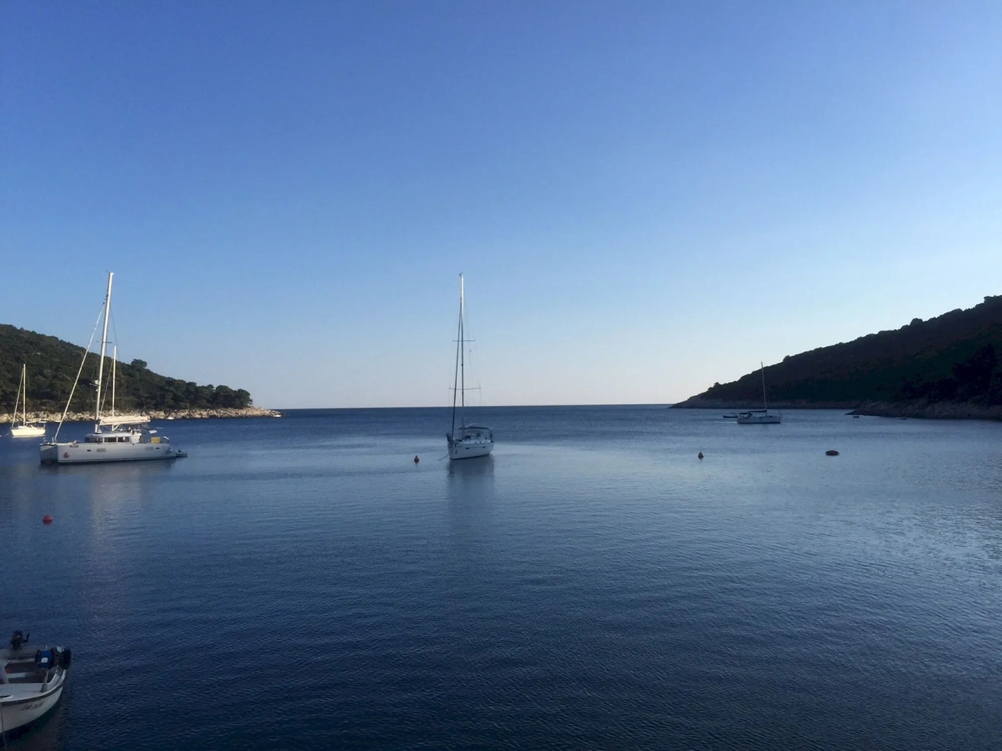 Boutique Pine Tree apartments