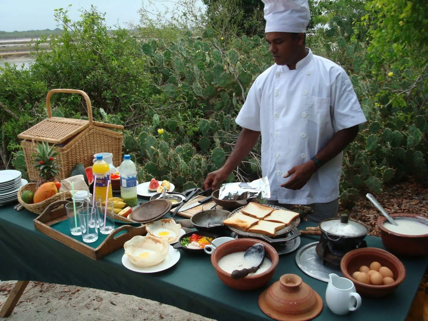 Explorer by Eco Team - Kumana National Park