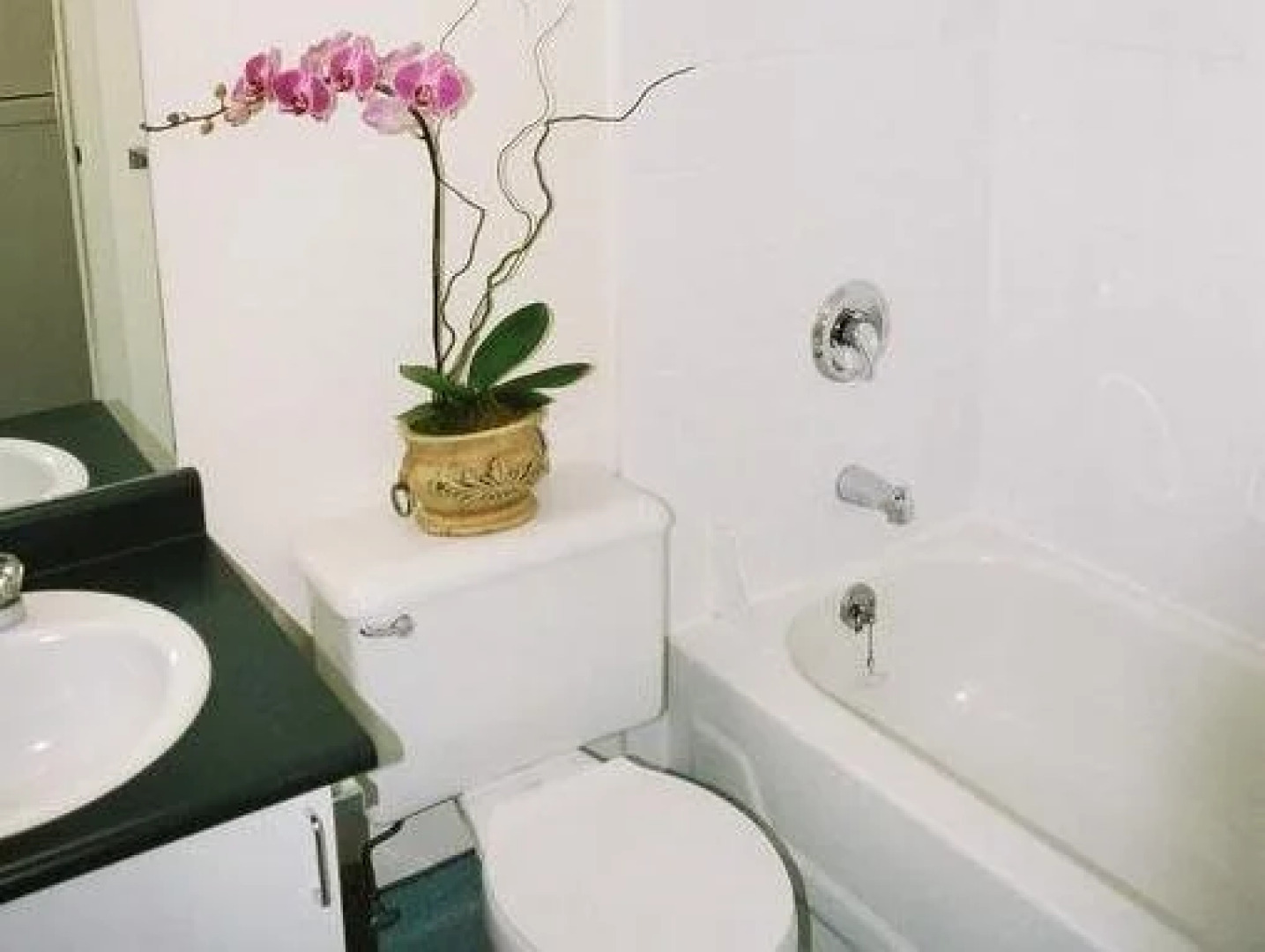 SFU Guest Accommodations