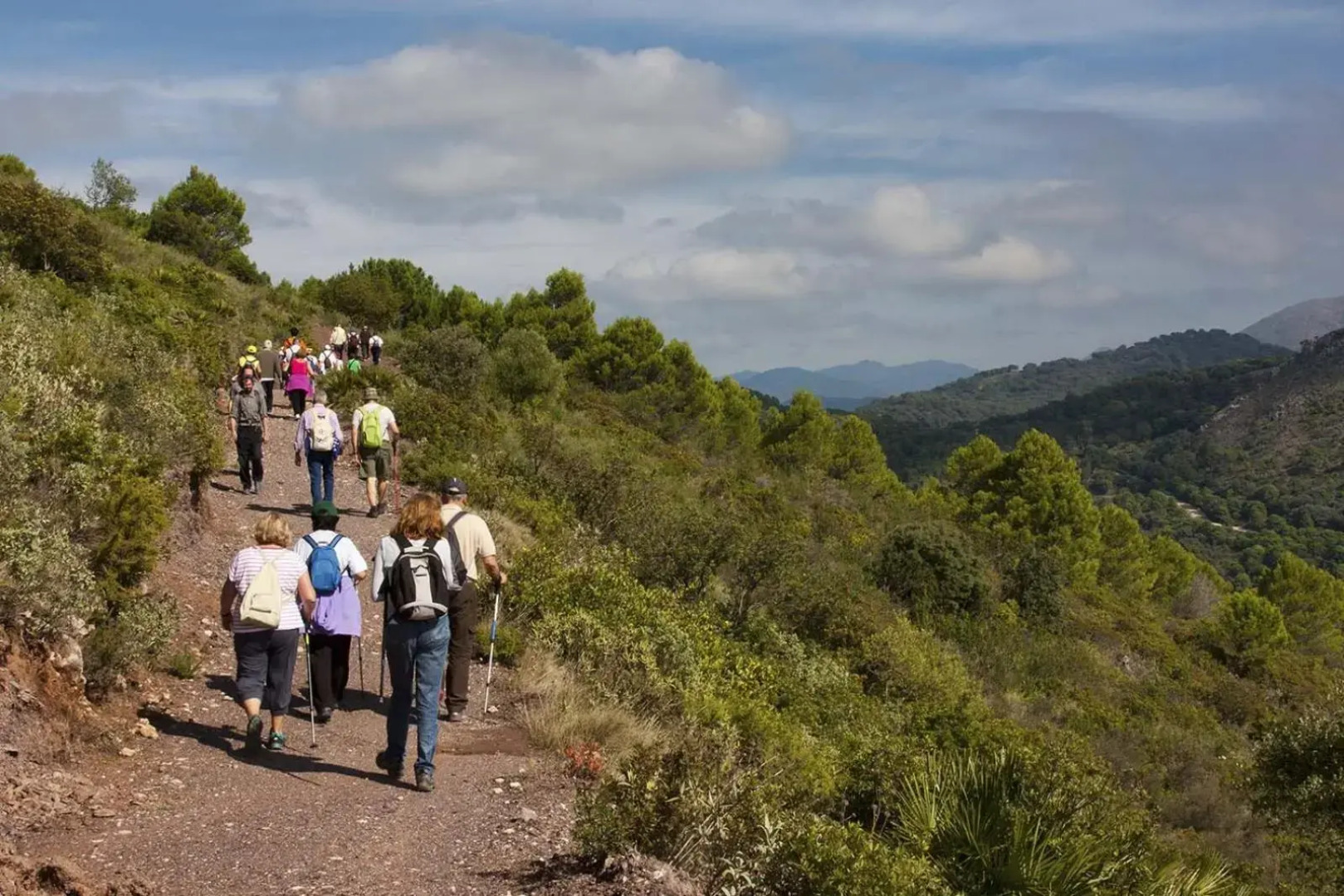 Al-1312 Estepona - Apartment - Alcazaba Lagoon