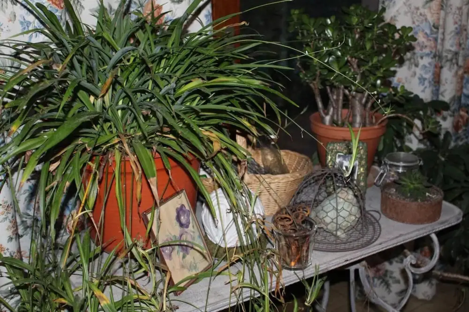 Dans le Jardin de Marie