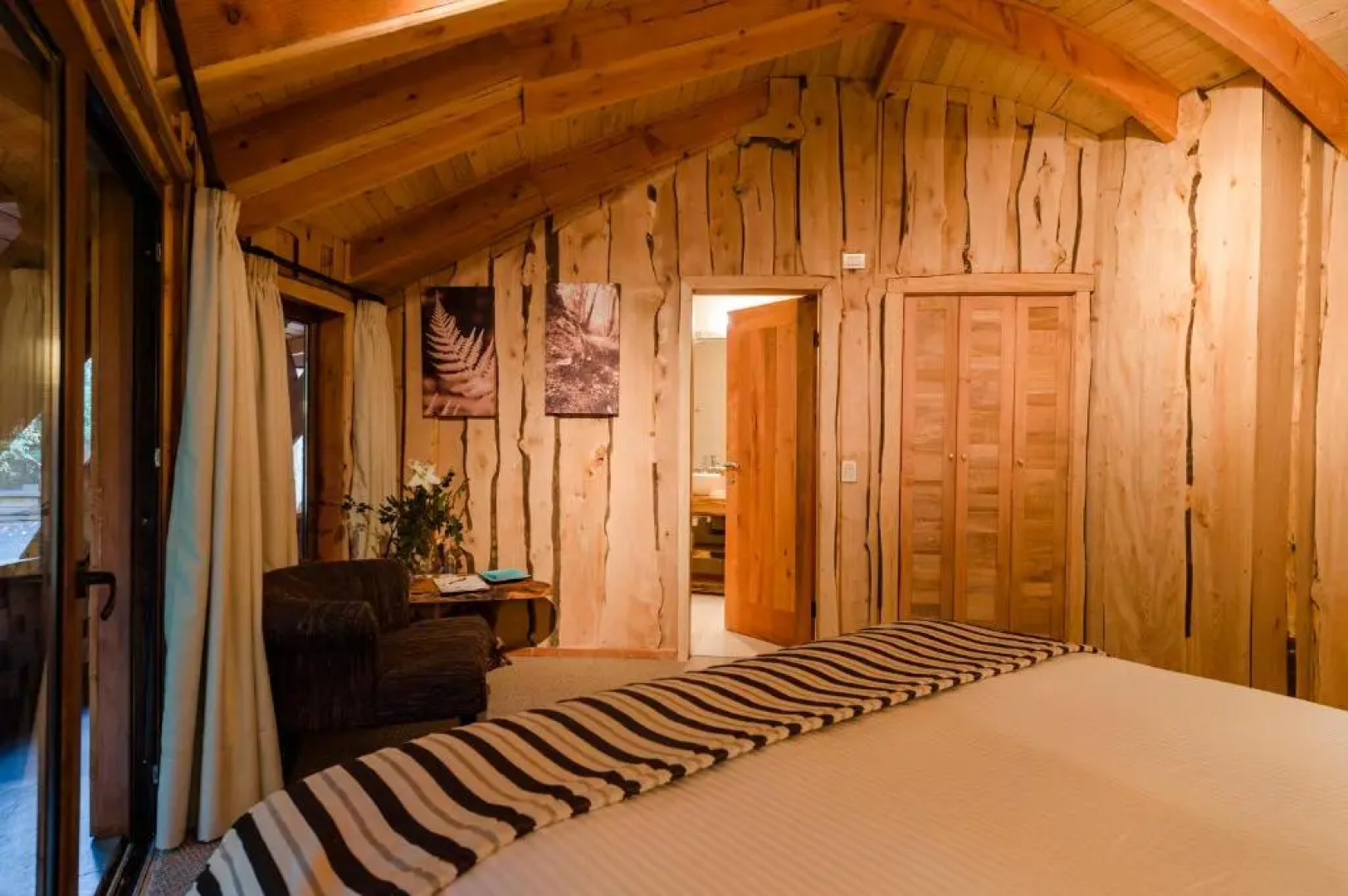 Huilo Huilo Reino Fungi