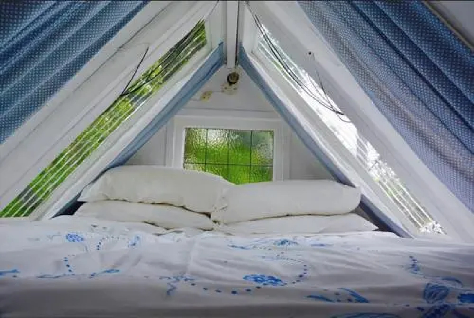 Follow The White Wabbit