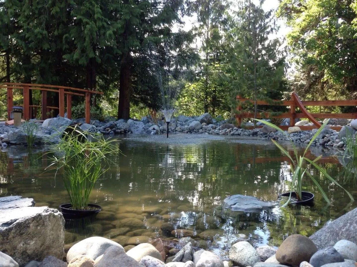 Sensational de Paradisio