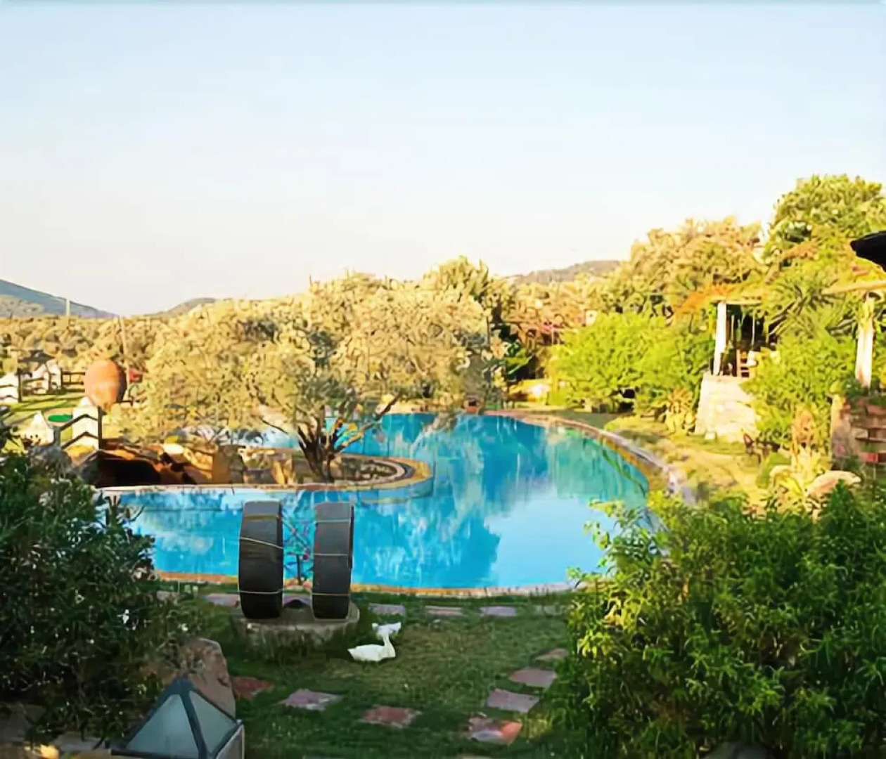 Antik Zeytin Hotel & Art