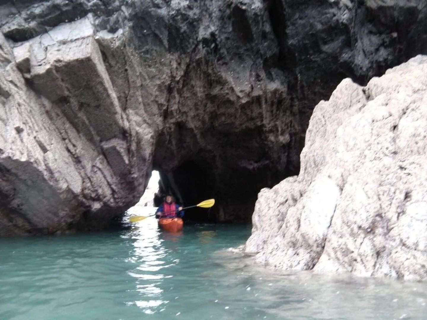 Farm stay chalet-The Paddock