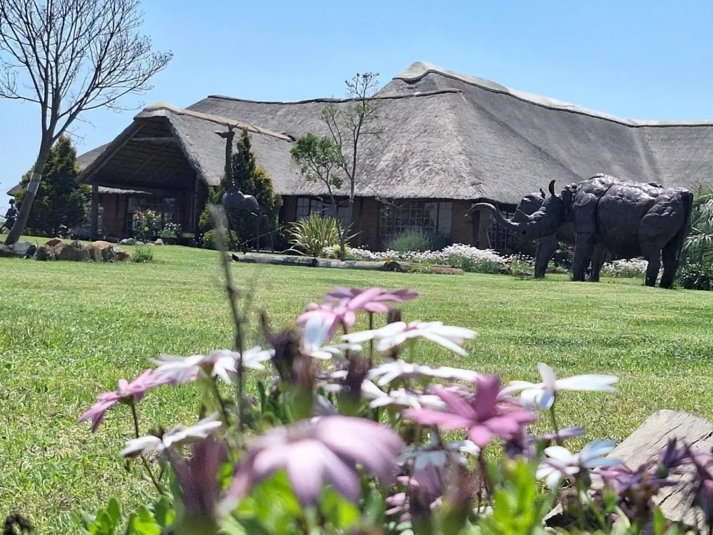 Linglela Lodge
