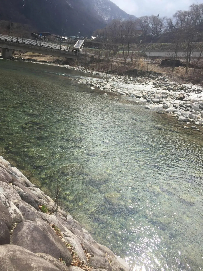 Alpine Lodge - Hostel